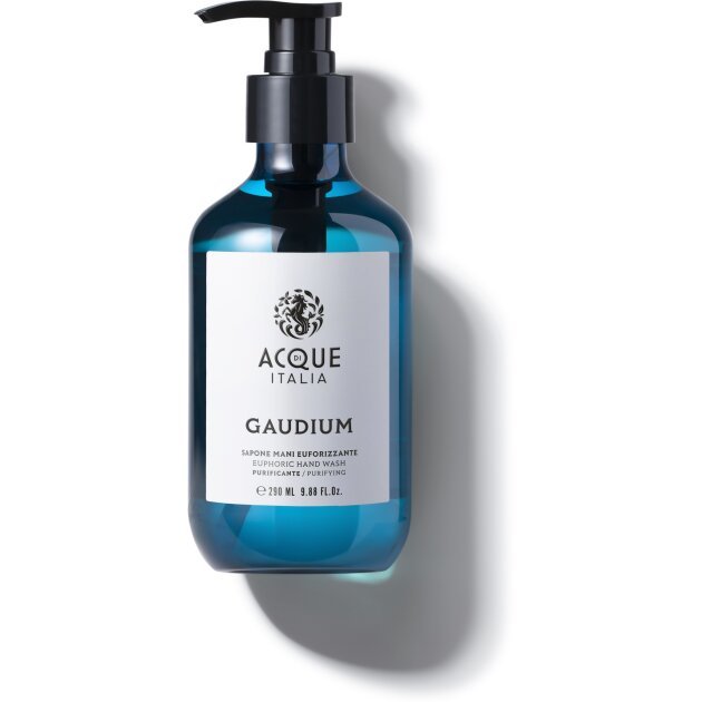 ACQUE DI ITALIA - Жидкое мыло  Gaudium - Hand Wash ADI-BG01