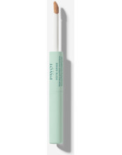 2-in-1 Purifying and Concealing Duo Pen