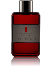 THE SECRET TEMPTATION