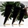 CAROLINA HERRERA - Туалетная вода CH BAD BOY 65132647-COMB - 6