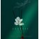 PENHALIGON'S - Парфюмерная вода The Audacity 65184060 - 1