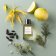 ESSENTIAL PARFUMS - Парфюмерная вода Nice Bergamote 001A04 - 1