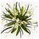 GUCCI - Парфюмерная вода Gucci Flora Gorgeous Orchid 99350194127-COMB - 3