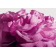 MATIERE PREMIERE - Парфюмерная вода Radical Rose Extrait TFD2024RREXT50 - 4