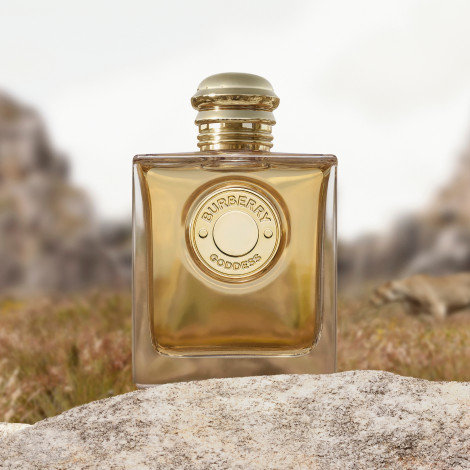 Burberry intense cologne sales
