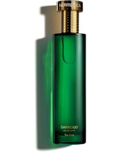 Darkoud