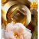 AMOUAGE - Apă de parfum Dia Woman 41004 - 1
