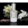 MIND GAMES - Extract  Caіssa Extrait Silver Queen MG1007 - 3
