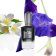 MIND GAMES - Extract Gardez Extrait Black Queen MG1019 - 3