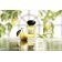 ARMANI PRIVE - Apă de toaletă Orangerie Venise L8259301 - 2