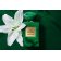 ARMANI PRIVE - Apă de parfum Vert Malachite LA605201-COMB - 4