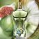 JEAN PAUL GAULTIER - Apă de parfum Le Beau Paradise Garden 65199801-COMB - 6