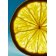 BOSS - Apă de parfum Bottled Bold Citrus 99350211936-COMB - 2