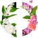 CARON - Apă de parfum Fleur de Rocaille C0202050-COMB - 3