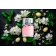 BOSS - Apă de parfum Boss Femme 99240062511-COMB - 3