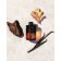 AZZARO - Apă de parfum The Most Wanted Parfum LD430903-COMB - 7