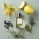 ESSENTIAL PARFUMS - Apă de parfum Nice Bergamote 001A04 - 1