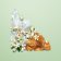 PRADA - Set Paradoxe Gift Set LF390200 - 2