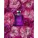 JO MALONE LONDON - Apă de colonie Taif Rose Cologne Intense L0D0010000 - 5