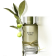 KARL LAGERFELD - Apă de toaletă Bois De Yuzu KL008A03-COMB - 2